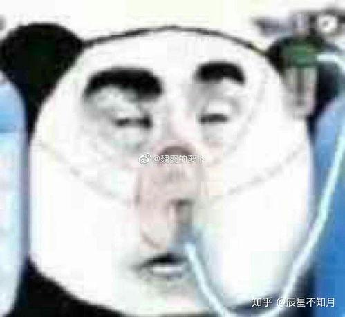 沙雕娱乐圈吃瓜小说推荐,揭秘明星背后的疯狂故事